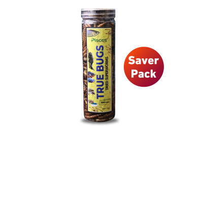 Pisces True Bugs Dried Superworms 550ml (SAVER PACK) 100gms