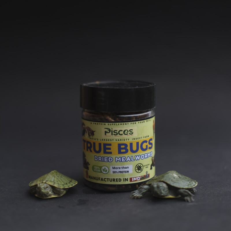 TRUE BUGS DRIED MEALWORMS Live Larvae Mealworms - Hight Protein Treat Food For Aquarium Fishes Like Turtles, Hedgehog and Birds, Reptiles, Monkeys